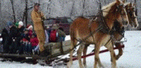 Horse and sleigh ride