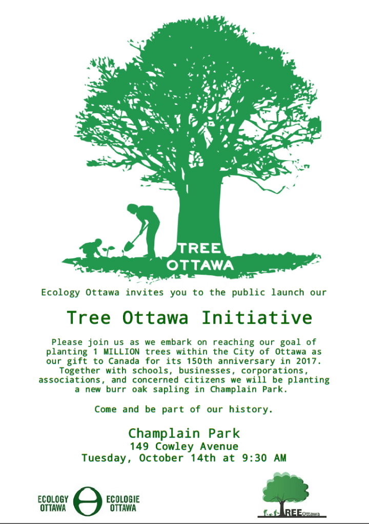 2014TreeOttLaunchImage