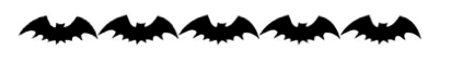 bats-transparent