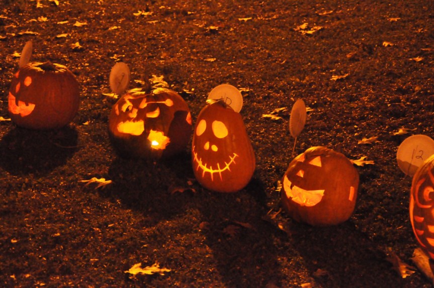 Part of the Pumpkin Walk at the Champlain Park 2014 Halloween Event.  Pumpkin Walk and Food Bank donations were organized by Kevin O'Shaughnessy.  Photo was taken by John Arnason.