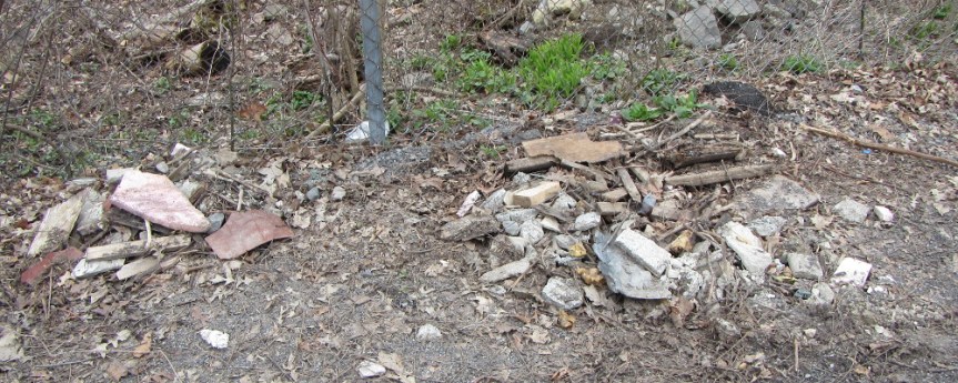 20150425_102159_AS_3005 Pile of concrete debris at Patricia and Pontiac