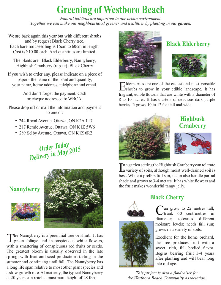 Westboro Beach Seedling Sale 2015.jpeg