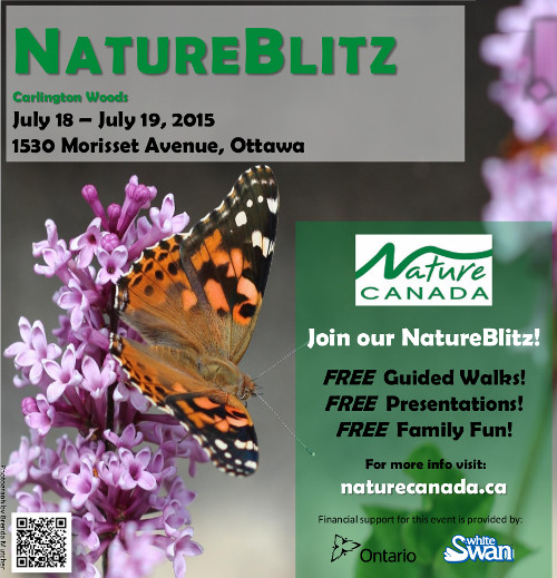 Finalposter-July2015NatureBlitz.jpeg
