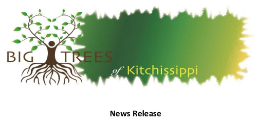 Big Trees of Kitchissippi.jpeg