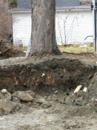 20151218_091208_resized