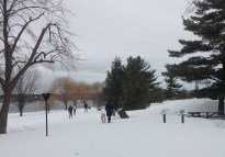 2016-02-28 xski trail parkway 1