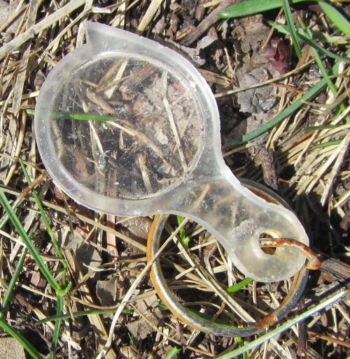 20160423_103437_AS_6589 Magnifying Glass