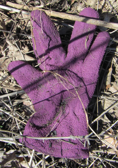 20160423_105324_AS_6592 One Glove of Many
