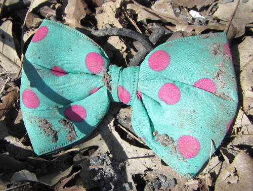 [Bow Tie look-alike found in Spring Cleanup 2016]