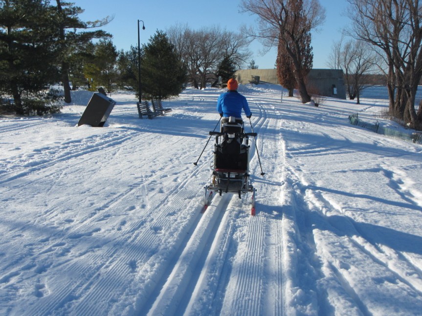 [Skier with ski trailer for their child]