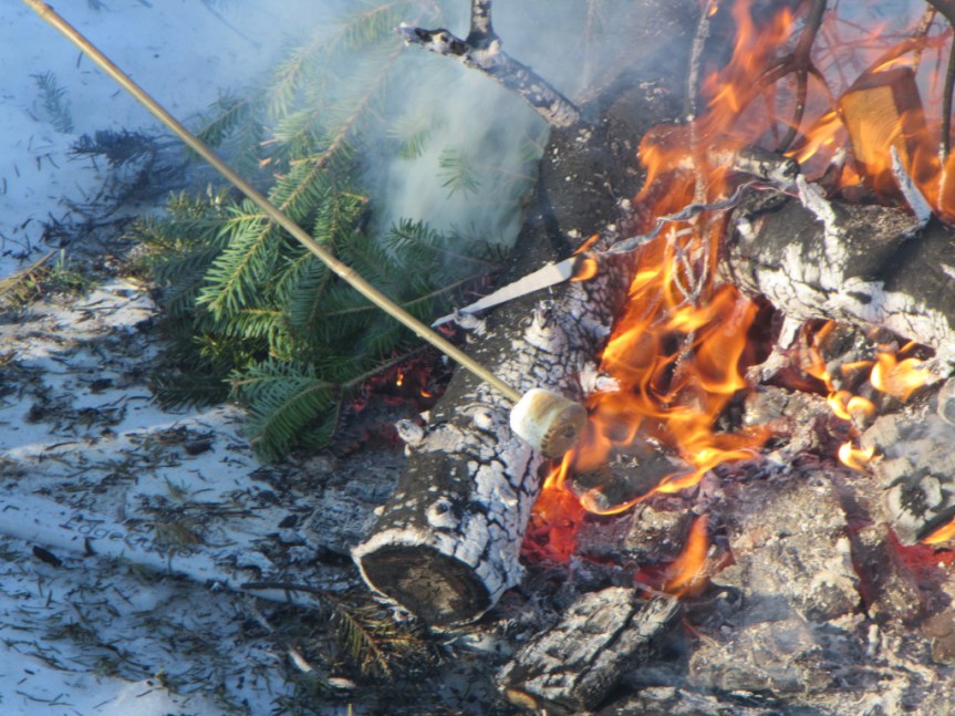 [Marshmallows Toasting (or maybe being Smoked) on a Stick]