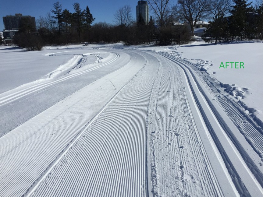 [SJAM After Grooming]