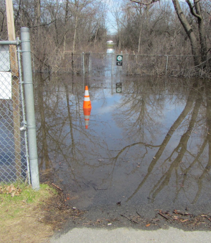 [Looking north up Daniel Avenue through the flooded forest]