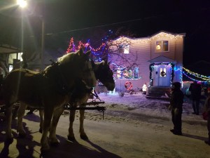 [Sleigh ride horses stopped outside Santa's house, photo by Joyce Mortimer, December 2019]