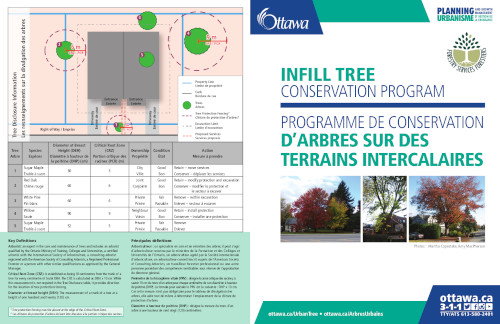 [Brochure on Trees in Infill Development]