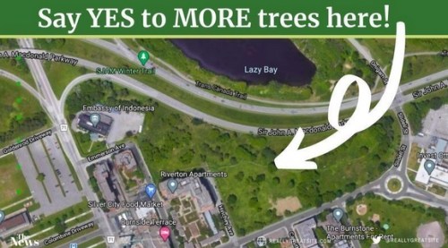 [Poster for More Trees Here]