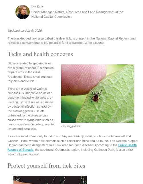 Tick Tick… Spring Ticks! – Champlain Park Community