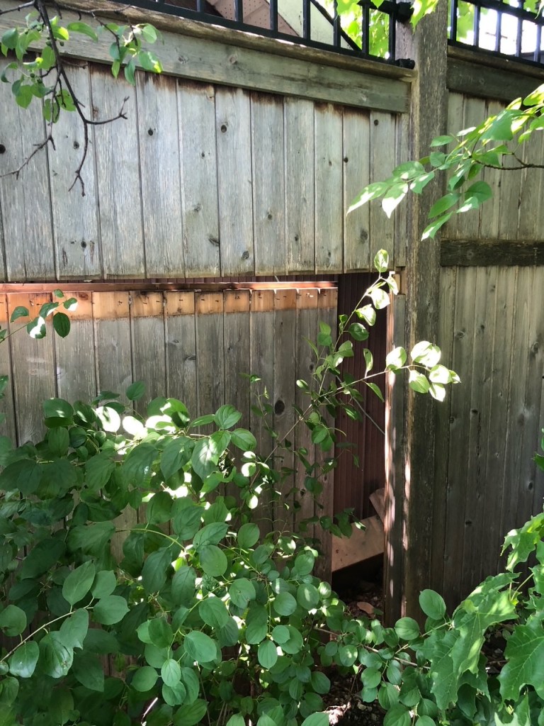 [Wooden fence with bottom half off the nails]