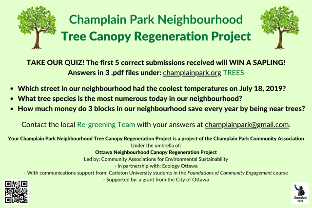 [Tree Canopy Regeneration Project Postcard - B]