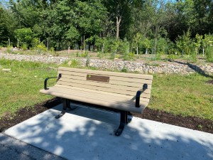 [New Bench on Pontiac Street at Mini-Forest]