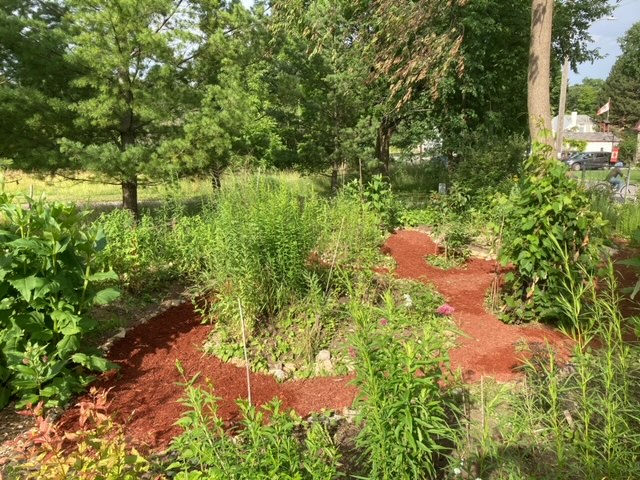 [Pollinator Garden Path Other Side]