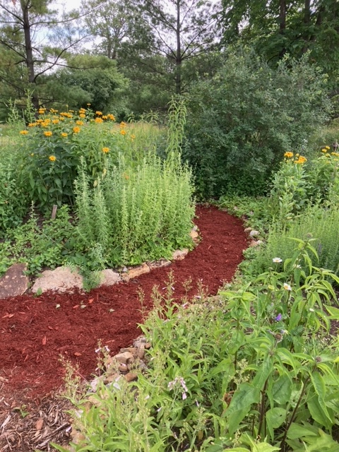 [Pollinator Garden Path]