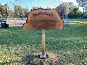 [Half circle tree slice with writing, on a post]