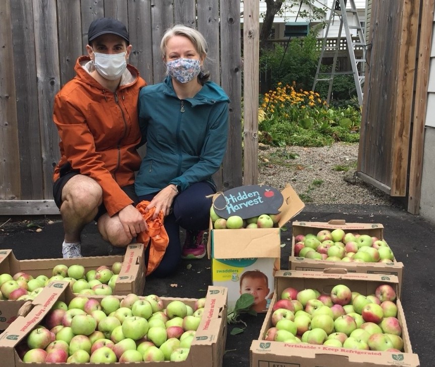 [A couple of people proudly displaying several cardboard boxes of apples with an apple tree and ladder in the distant background and a Hidden Harvest logo plaque lying on the apples]