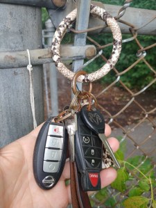 [Key rings looped together with three car keys attached]
