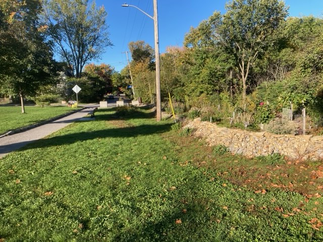 [Leaf Drop Zone on Pontiac]