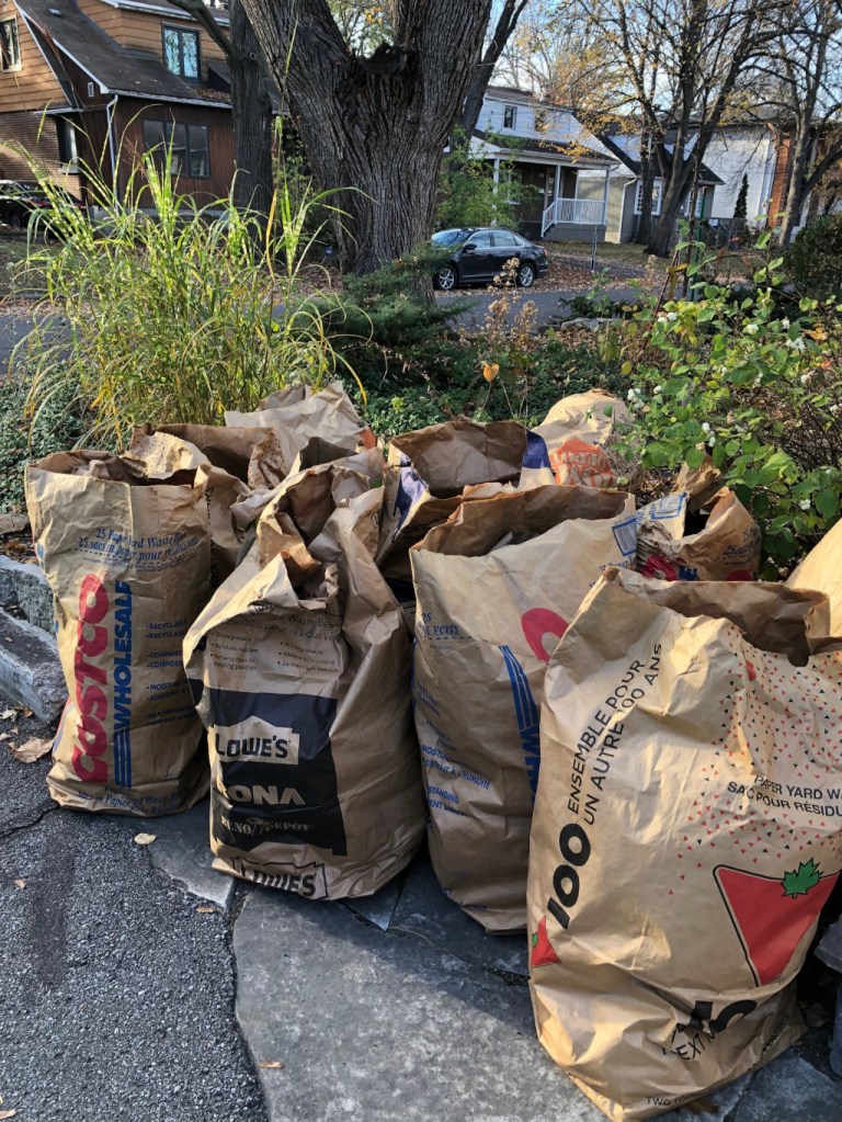 [Paper garden waste bags on Daniel Avenue in 2022]