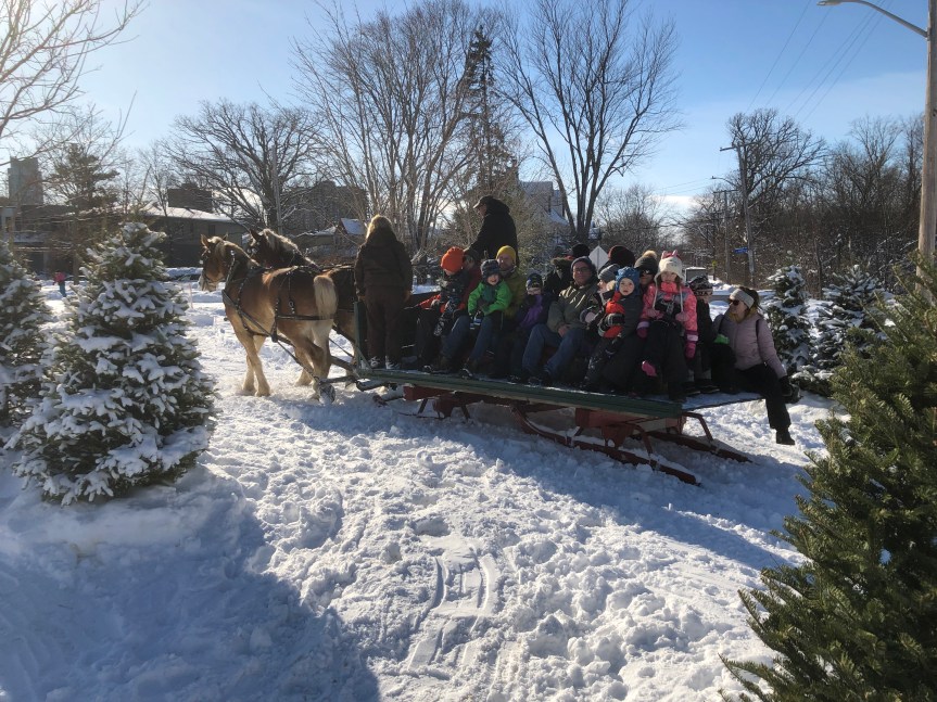 [Sleigh Ride at 2023 Winter Carnival]