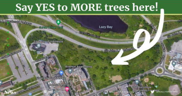[Map of the Trees Affected and Surrounding Area]