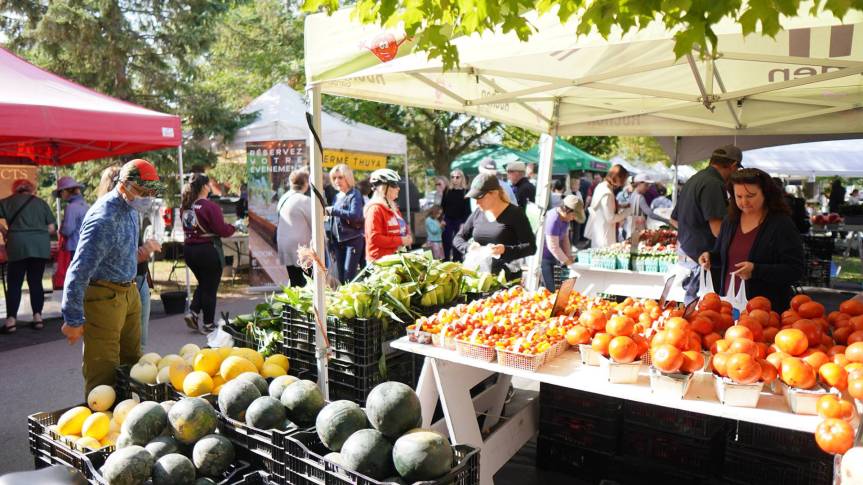 [Westboro Market, from https://ottawafarmersmarket.ca/westboro-market/]